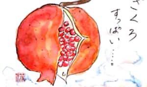 ざくろ　すっぱい…。