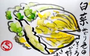 白菜　みどり色のところが好きよ