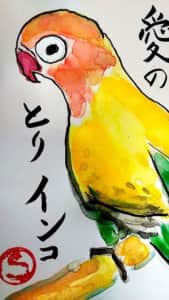 愛の鳥　インコ