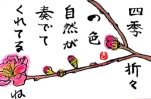 四季折々の色　自然が奏でてくれてるね