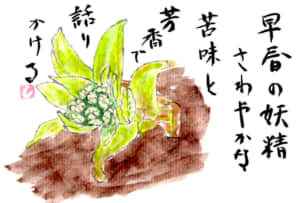 フキノトウ
