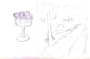 器に盛られたぶどうと、散歩道