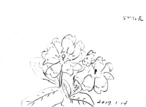 ジュリアンのデッサン