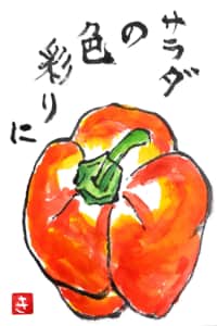パプリカ　サラダの彩りに