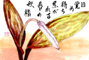 春の妖精