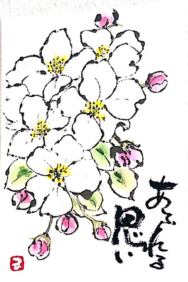 あふれる思い 桜の花 絵手紙 交流ひろば てがみ倶楽部