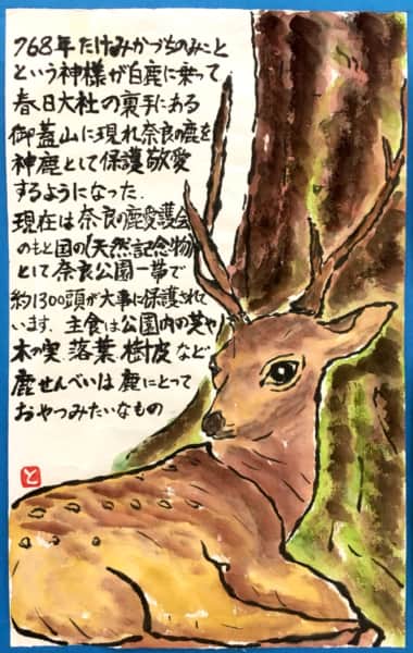 奈良の神様の化身、鹿さん