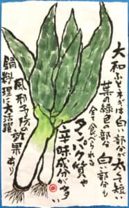 大和ふとネギ