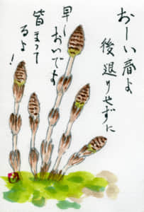 つくし