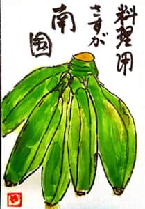 料理用バナナ　さすが南国
