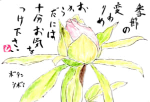 春の絵手紙