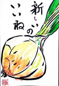 新しいの、いいね。 新玉ねぎ