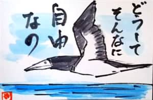 どうしてそんなに自由なの　〜カツオドリ〜