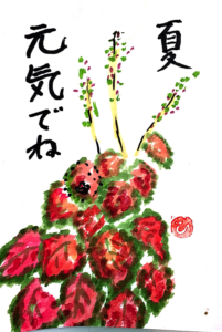 夏、元気でね　〜コリウス〜