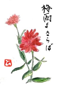 ダリアで梅雨よさらば