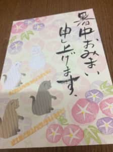 猫さんたちと朝顔が暑中お見舞い申し上げます