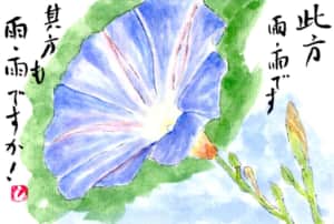 リュウキュウアサガオ