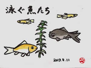 泳ぐ魚たち