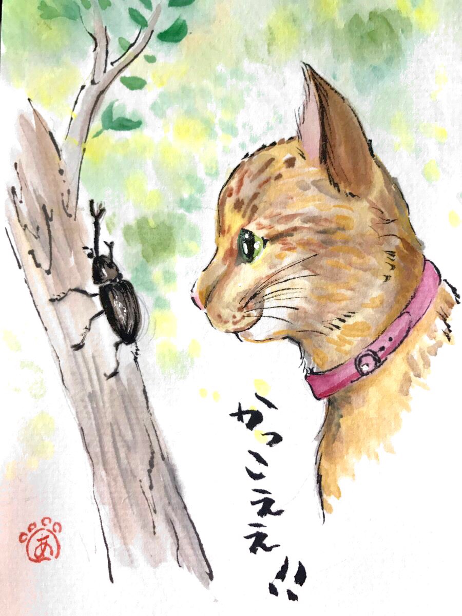 かっこええ 猫とカブトムシ 絵手紙 交流ひろば てがみ倶楽部絵手紙 交流ひろば てがみ倶楽部