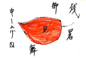 ほおずきの残暑お見舞い