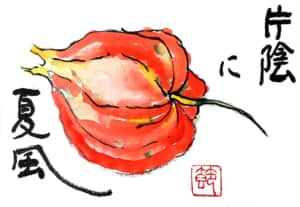 片陰に夏風