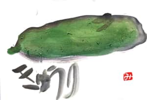 活き活き、きゅうり！