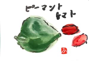ピーマンとトマト