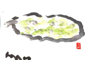 まだ白いゴーヤーの肖像