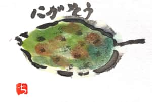 にがそうなゴーヤー