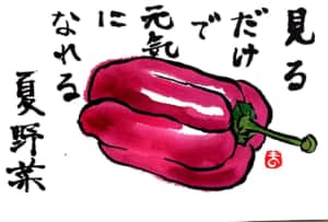見るだけで元気になれる夏野菜