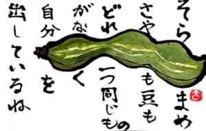 そら豆　さやも豆もどれ一つ同じものがなく自分を出しているね