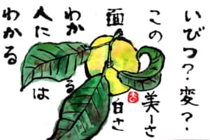 いびつ？変？　この美しさ面白さ　わかる人にはわかる　〜みかん〜
