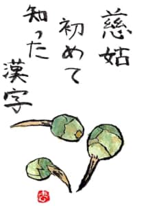 慈姑、初めて知った漢字