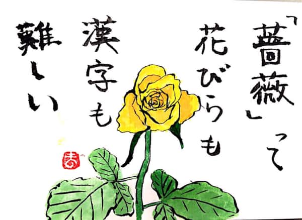 「薔薇」って漢字も花びらも難しい