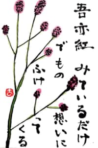 吾亦紅みているだけで もの想いにふけってくる