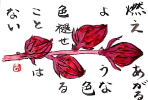 燃え上がるような色　色褪せることはない