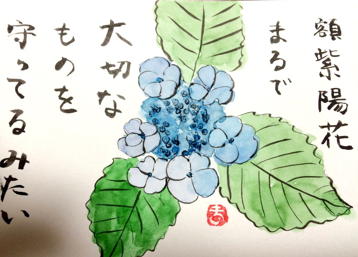 額紫陽花 まるで大切なものを守っているみたい | 絵手紙 交流ひろば