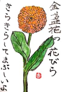 金盞花の花びら　きらきらしてまぶしいよ