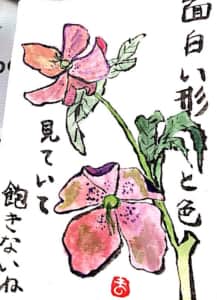 面白い形と色　見ていて飽きないね