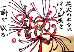 花火のようにパっと咲き 一瞬で散る