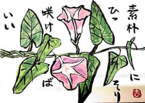 素朴にひっそり咲けばいい　〜朝顔の花〜