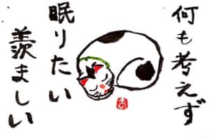 何も考えず眠りたい 羨ましい 〜眠り猫〜