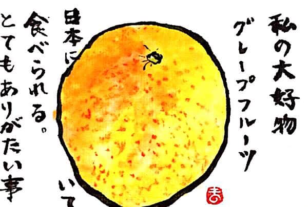 私の大好物 グレープフルーツ 日本にいて食べられる。とてもありがたい事