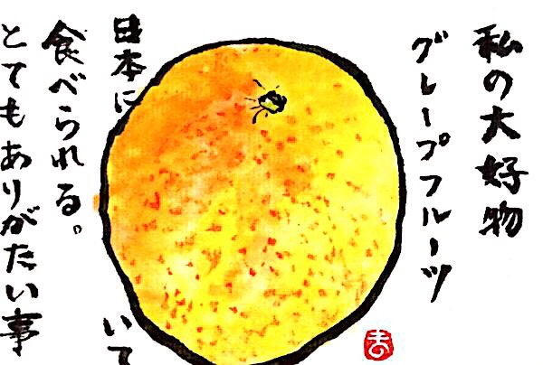 私の大好物 グレープフルーツ 日本にいて食べられる。とてもありがたい事