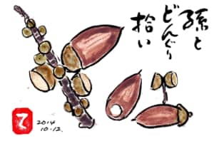 孫とどんぐり拾い
