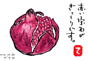赤い宝石がぎっしりです。ザクロ