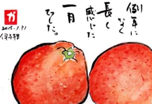 例年になく長く感じた一月でした。　〜伊予柑〜