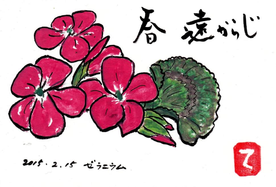 春遠からじ 〜ゼラニウムの花〜 | 絵手紙 交流ひろば - てがみ倶楽部絵 