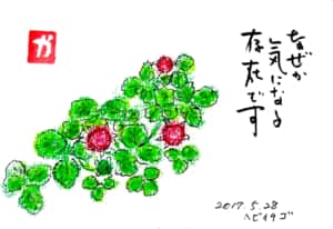 なぜか気になる存在です　〜ヘビイチゴ〜
