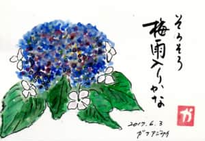 そろそろ梅雨入りかな　〜ガクアジサイ〜